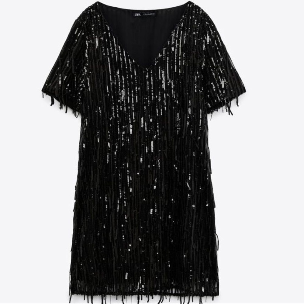 Zara Black Sequin Fringed Mini Dress
Short Sleeve Dress - Picture 2 of 11